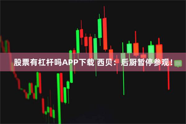 股票有杠杆吗APP下载 西贝：后厨暂停参观！
