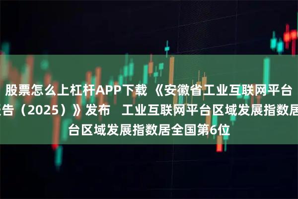 股票怎么上杠杆APP下载 《安徽省工业互联网平台发展成效报告（2025）》发布   工业互联网平台区域发展指数居全国第6位