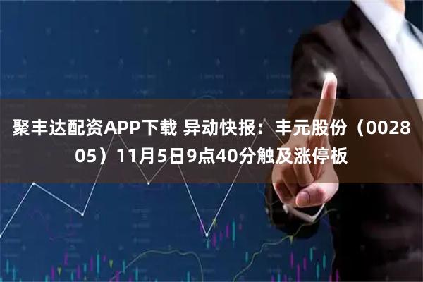 聚丰达配资APP下载 异动快报：丰元股份（002805）11月5日9点40分触及涨停板