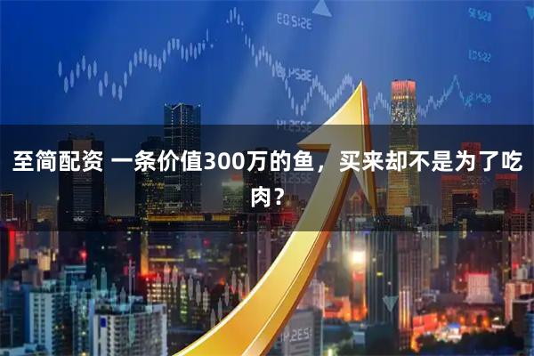 至简配资 一条价值300万的鱼，买来却不是为了吃肉？