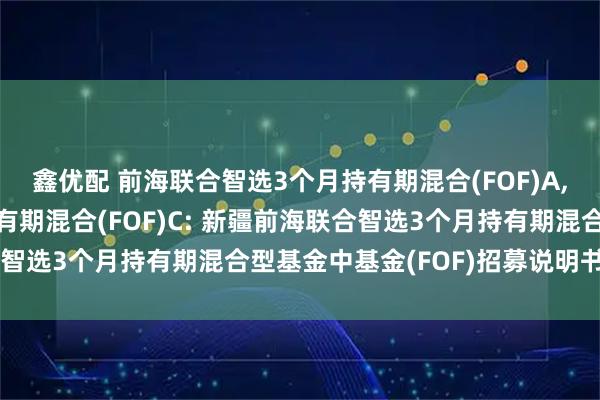 鑫优配 前海联合智选3个月持有期混合(FOF)A,前海联合智选3个月持有期混合(FOF)C: 新疆前海联合智选3个月持有期混合型基金中基金(FOF)招募说明书(更新)